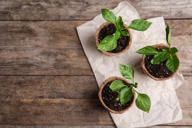 Photo of Vegetable seedlings in peat pots on wooden table, flat lay. Space for text