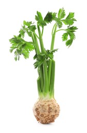 Photo of Fresh raw celery root with stalks isolated on white