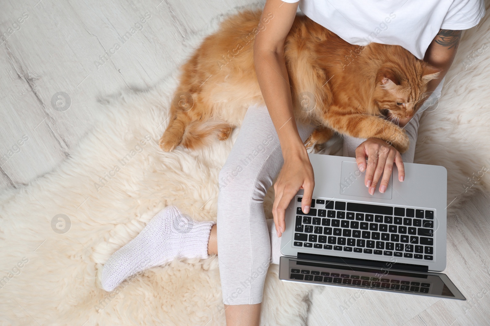 Photo of Woman with cute red cat and laptop on fur carpet, top view. Space for text