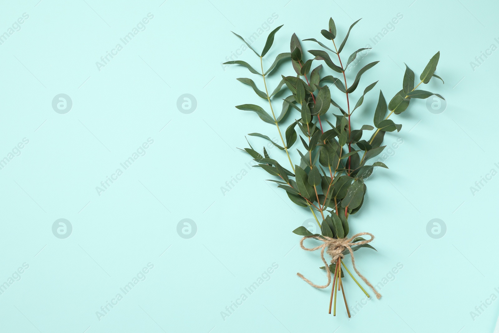 Photo of Eucalyptus branches with fresh green leaves on turquoise background, top view. Space for text