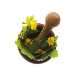 Celandine with pestle in wooden mortar isolated on white, top view