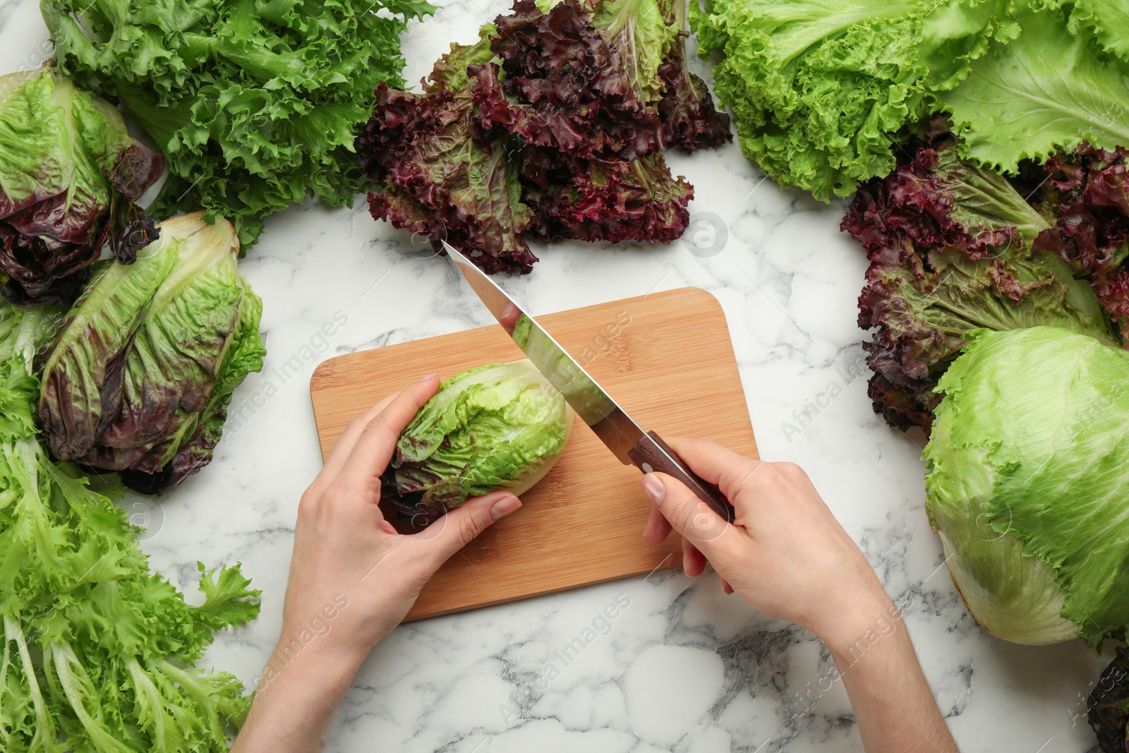 Photo of Woman cutting red romaine lettuce at white marble table, top view