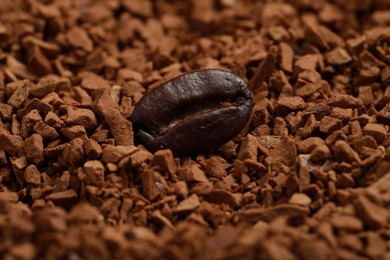 Roasted bean on instant coffee, closeup view
