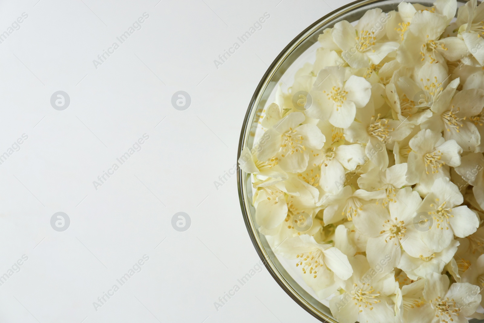 Photo of Beautiful jasmine flowers in glass bowl on white background, top view. Space for text