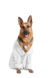 Photo of Cute dog in uniform with stethoscope as veterinarian on white background