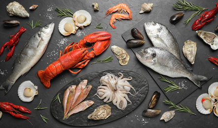 Photo of Fresh fish and different seafood on black table, flat lay