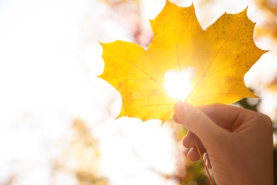 Woman holding sunlit leaf with heart shaped hole outdoors, closeup. Autumn season