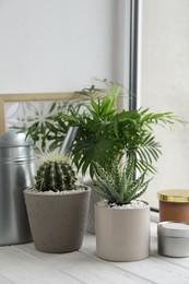 Photo of Beautiful Aloe, Cactus, Chamaedorea in pots with watering can and decor on white wooden windowsill. Different house plants