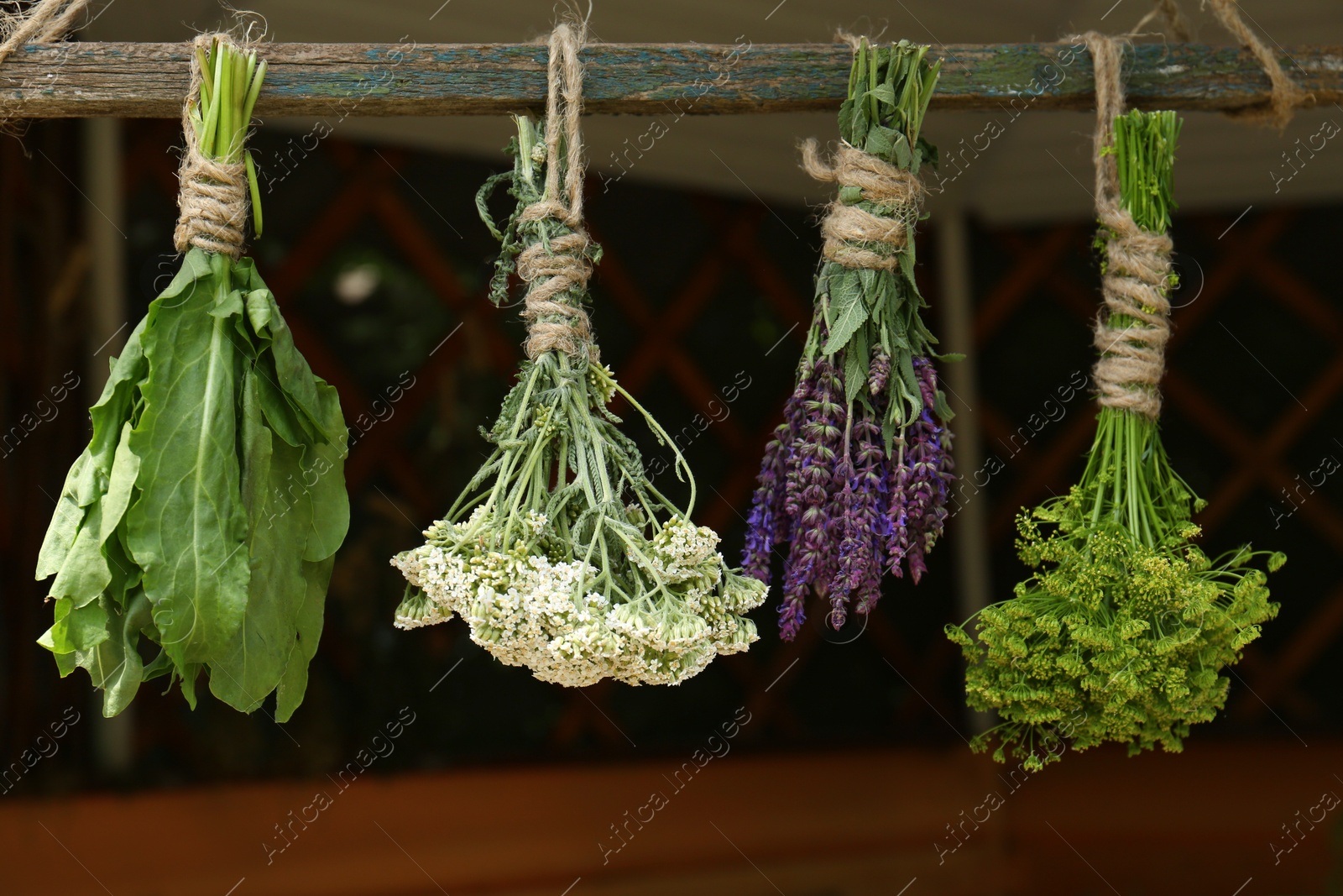 Photo of Bunches of different beautiful dried flowers hanging on wooden stick indoors