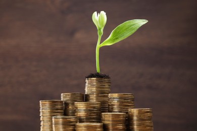 Stacks of coins with flower on blurred background, closeup. Investment concept