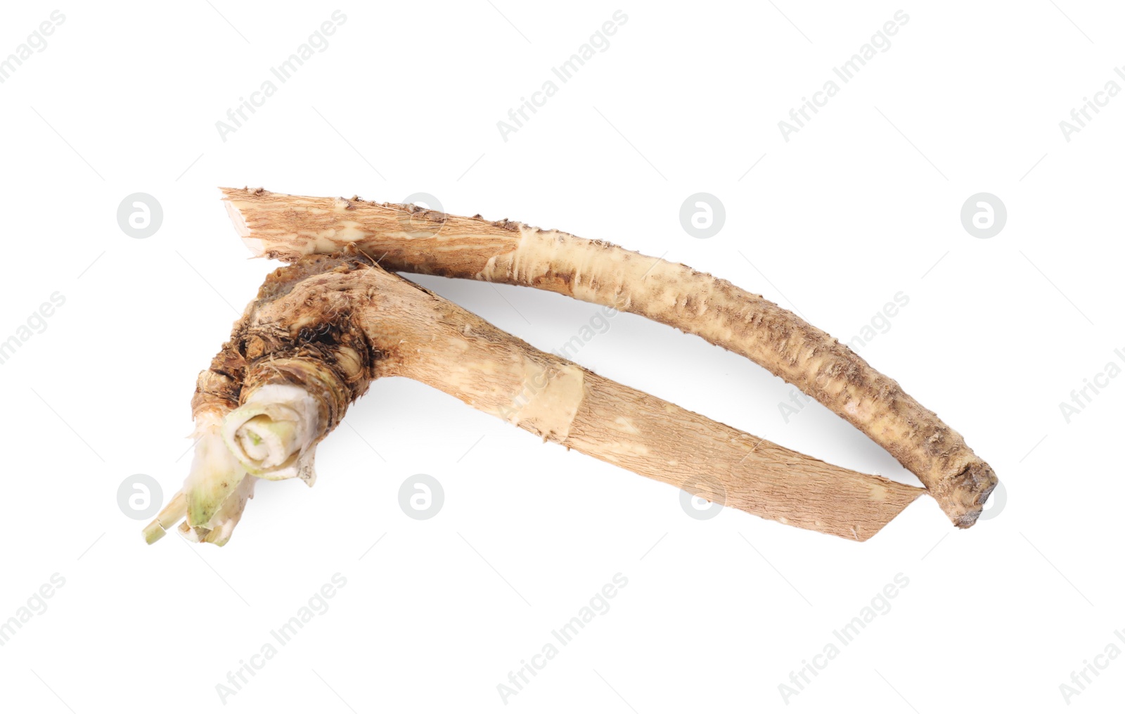 Photo of Fresh cut horseradish root isolated on white, top view