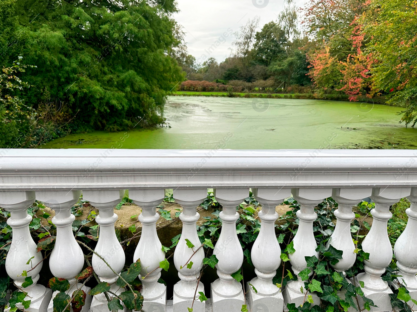 Photo of Beautiful white fencing near pond in park