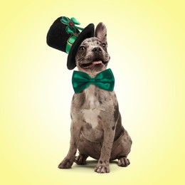 Image of St. Patrick's day celebration. Cute French bulldog with green bow tie and leprechaun hat on yellow background