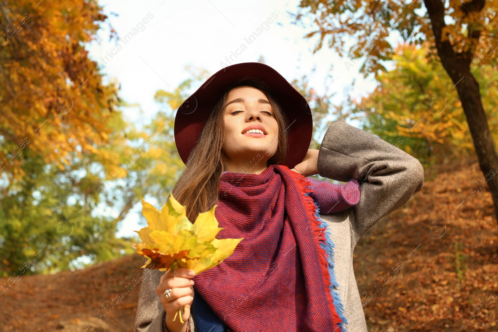 Photo of Young beautiful woman with hat and leaves in park. Autumn walk