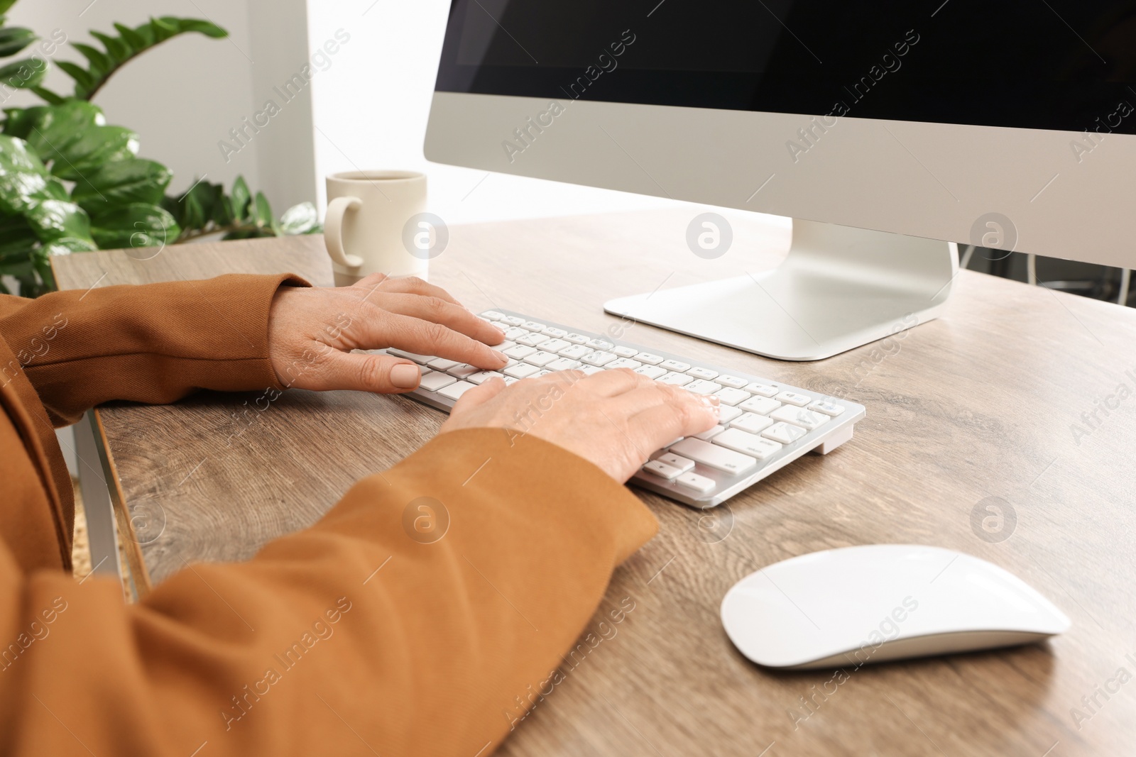 Photo of Lady boss working on computer at desk in office, closeup. Successful businesswoman