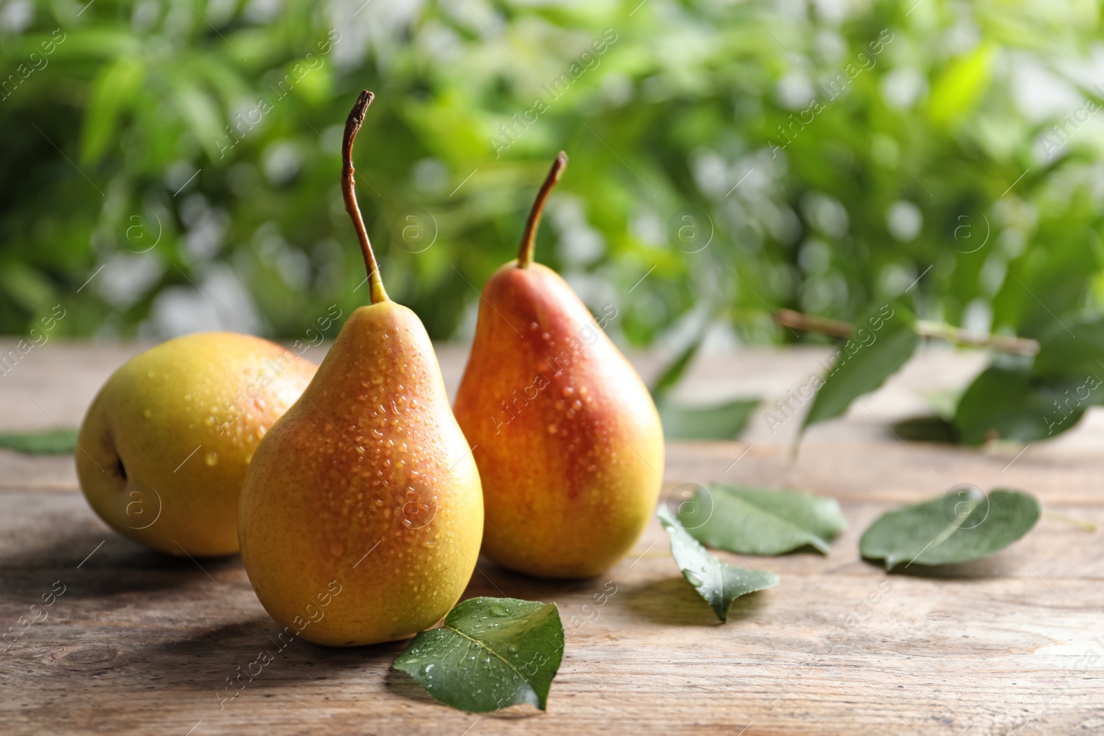 Photo of Ripe pears on wooden table against blurred background. Space for text