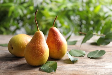 Photo of Ripe pears on wooden table against blurred background. Space for text