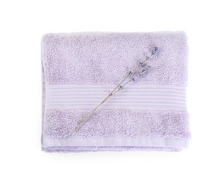 Folded violet terry towel and dry lavender isolated on white, top view