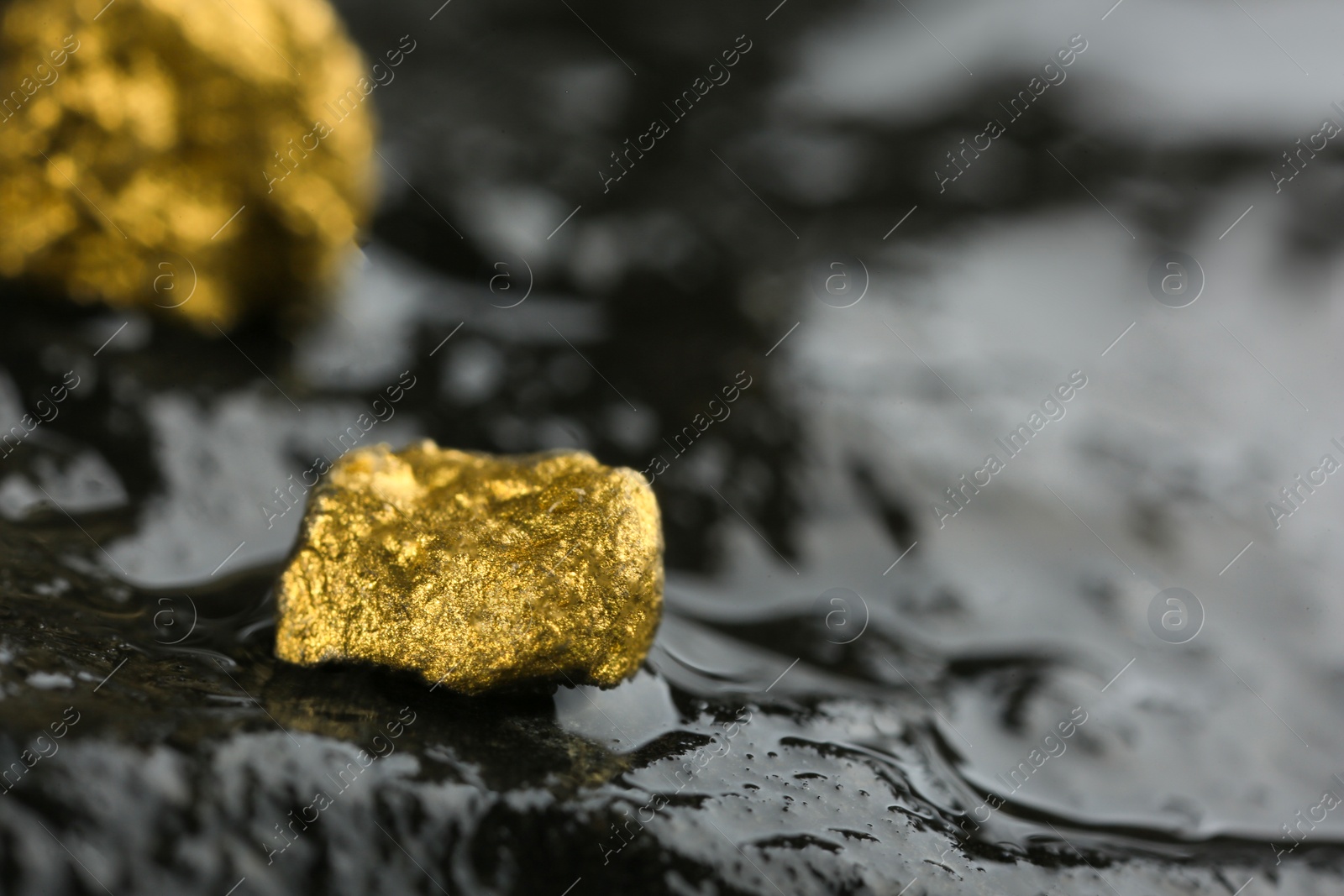Photo of Shiny gold nugget on wet stone, closeup. Space for text