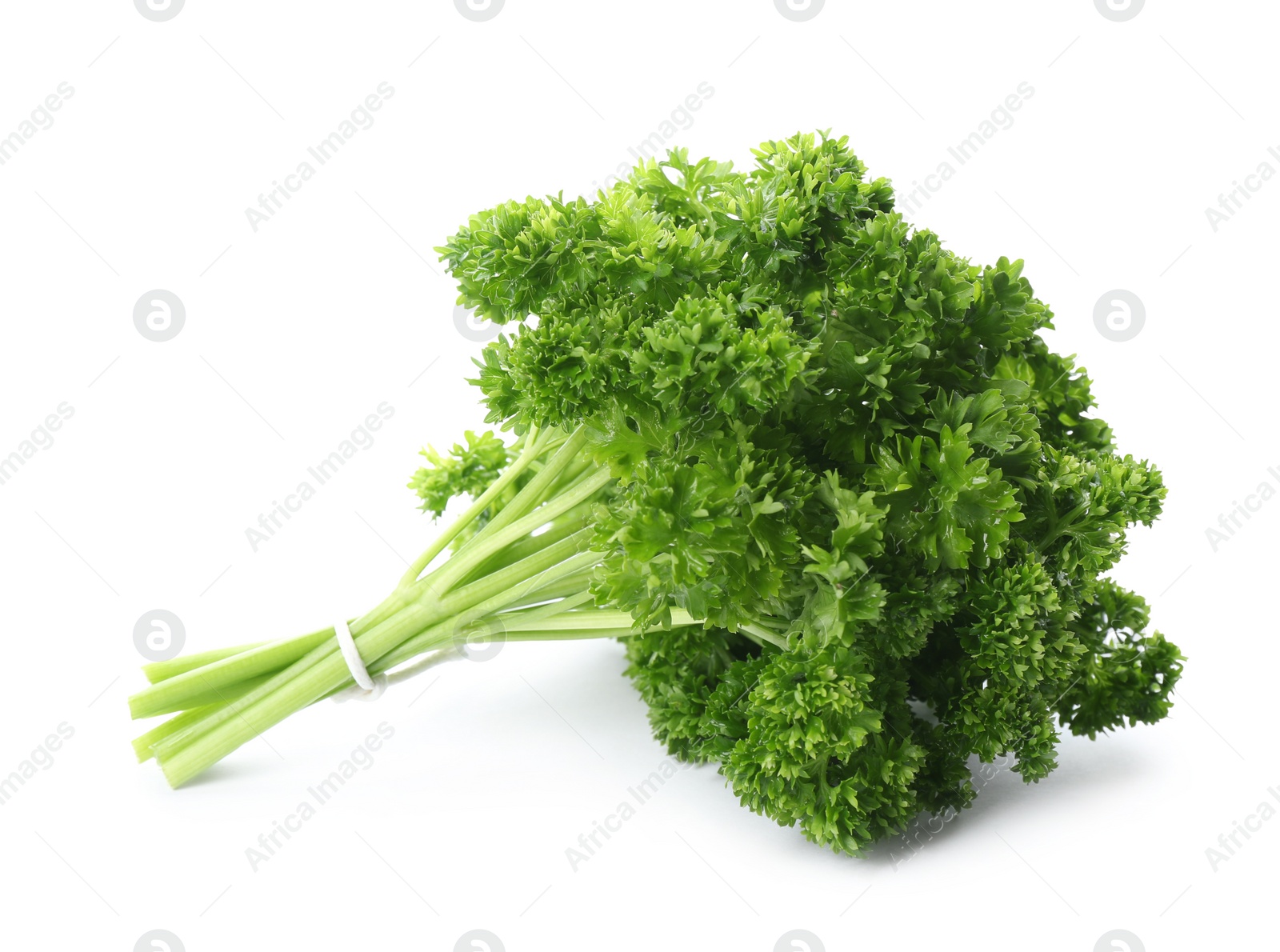 Photo of Bunch of fresh curly parsley on white background