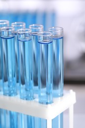 Photo of Test tubes with reagents in rack on blurred background, closeup. Laboratory analysis