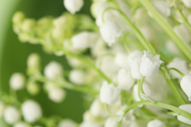 Beautiful lily of the valley flowers on green background, closeup. Space for text