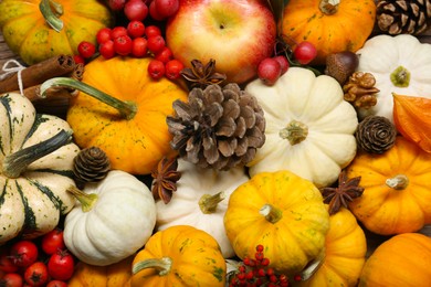 Thanksgiving day. Many different pumpkins, pine cones and berries as background, top view