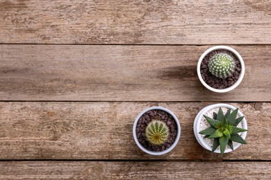 Many different succulent plants in pots on wooden table, flat lay. Space for text