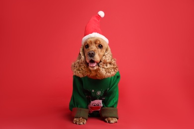 Photo of Adorable Cocker Spaniel in Christmas sweater and Santa hat on red background
