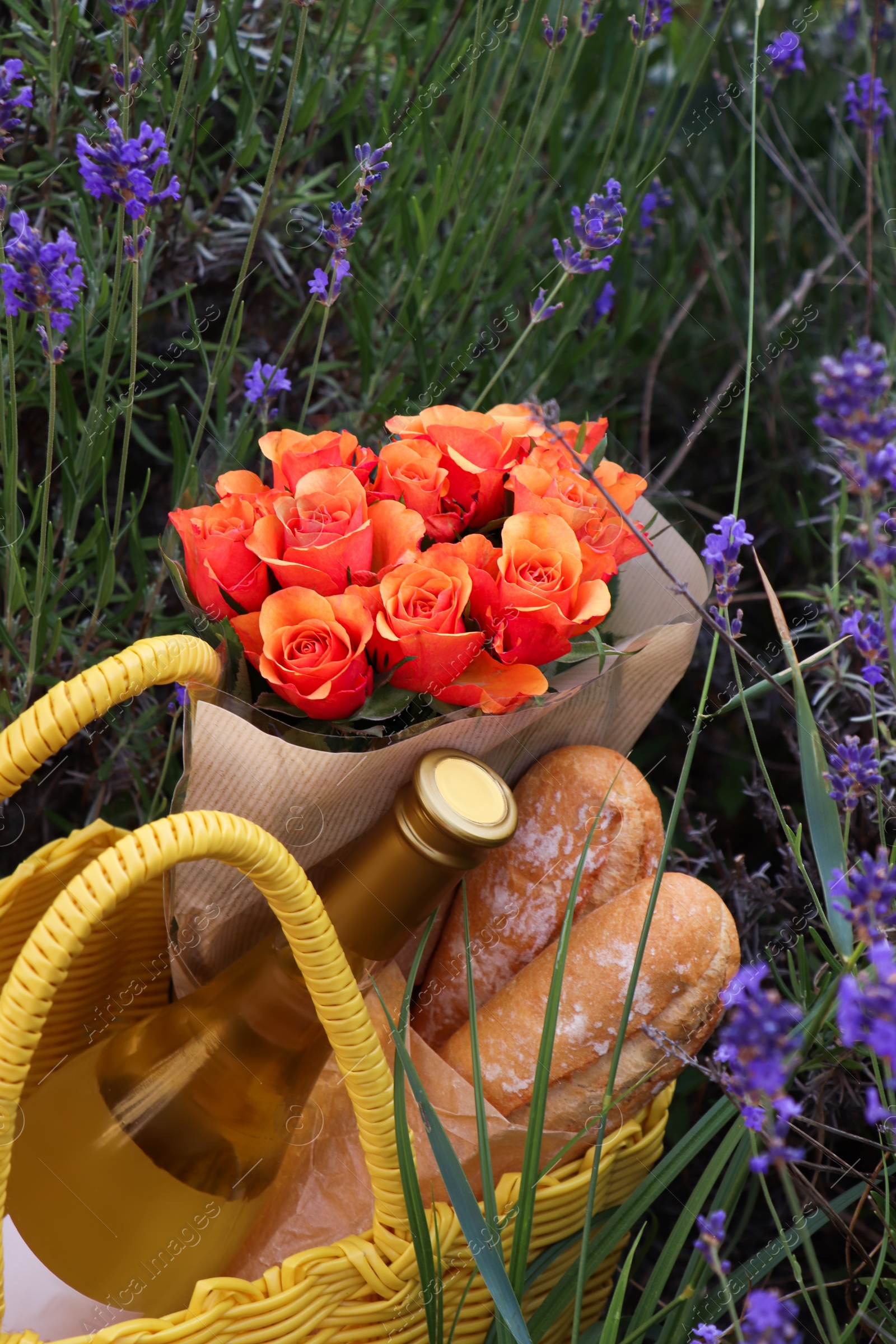 Photo of Yellow wicker bag with beautiful roses, bottle of wine and baguettes in lavender field