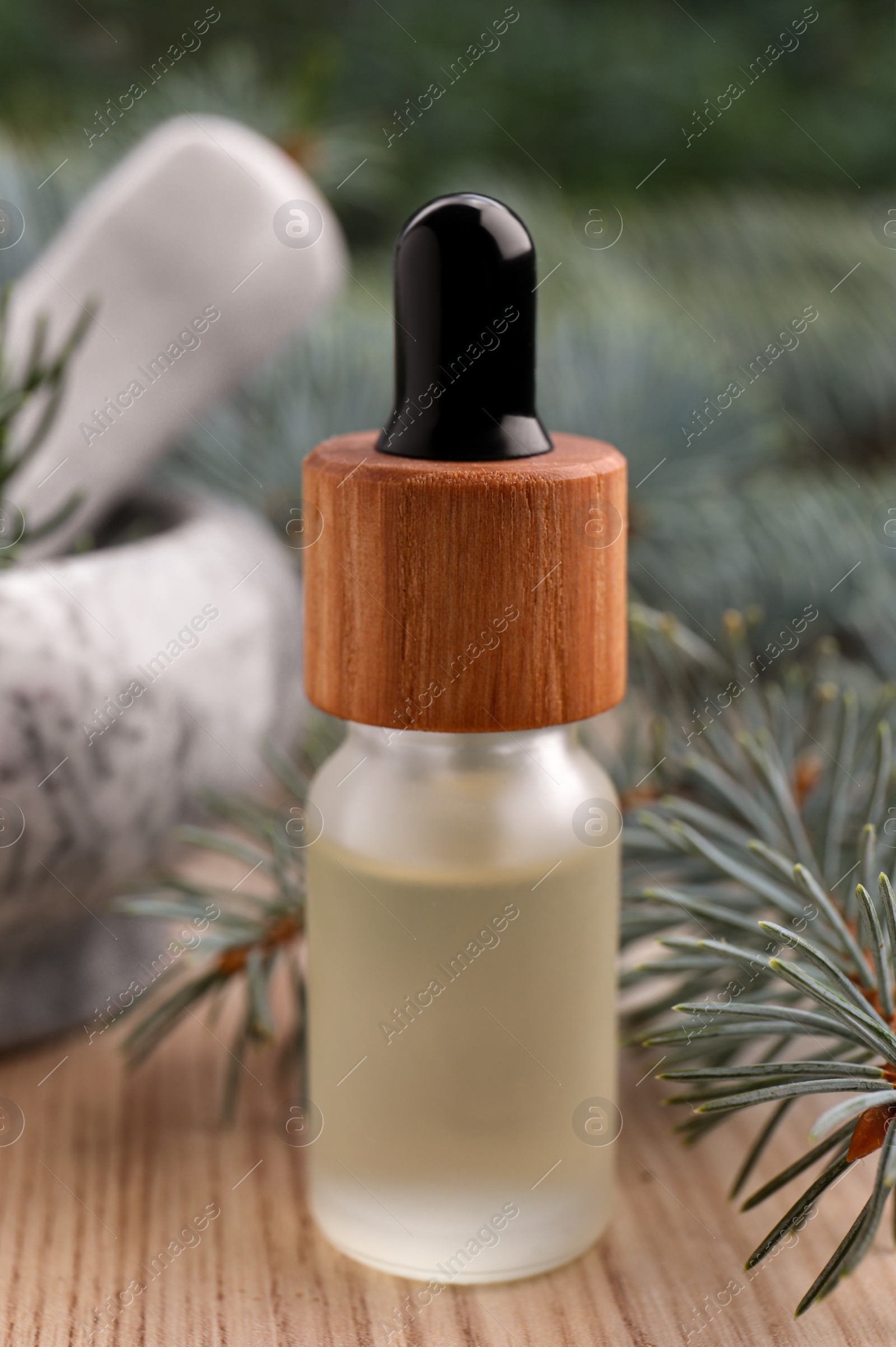 Photo of Pine essential oil and branches on white wooden table, closeup