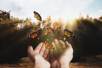 Image of Woman releasing butterflies in forest on sunny day, closeup. Freedom concept