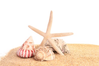 Photo of Beautiful sea star, shells and sand isolated on white