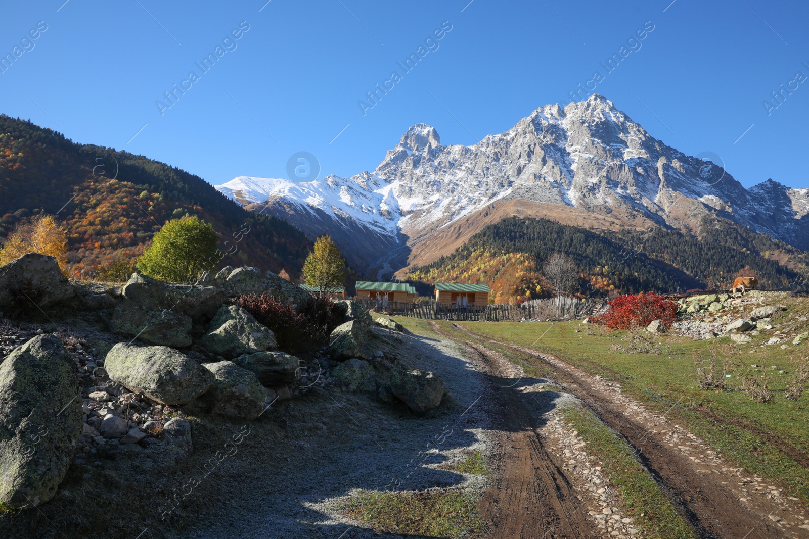 Photo of Picturesque view of empty pathway near stones in mountains on sunny day