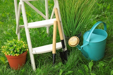 Photo of Composition with gardening tools on green grass