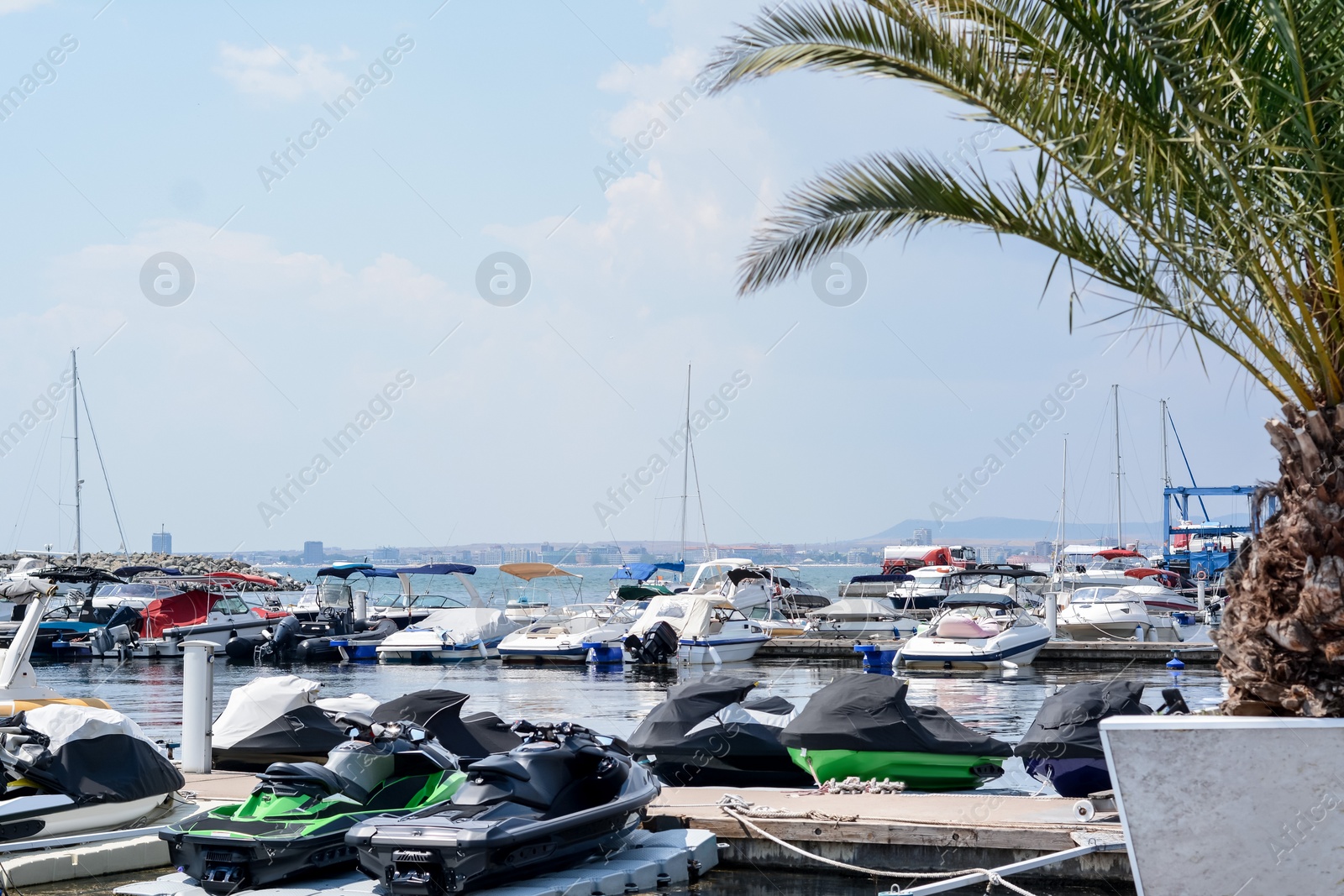 Photo of Beautiful view of city pier with moored boats and palm on sunny day