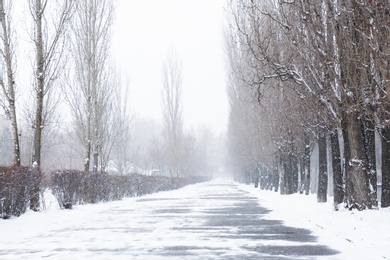 Photo of Winter city park with path on snow day