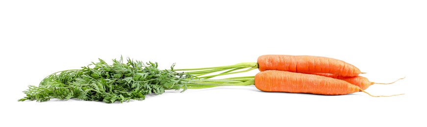 Photo of Tasty ripe carrots with foliage on white background