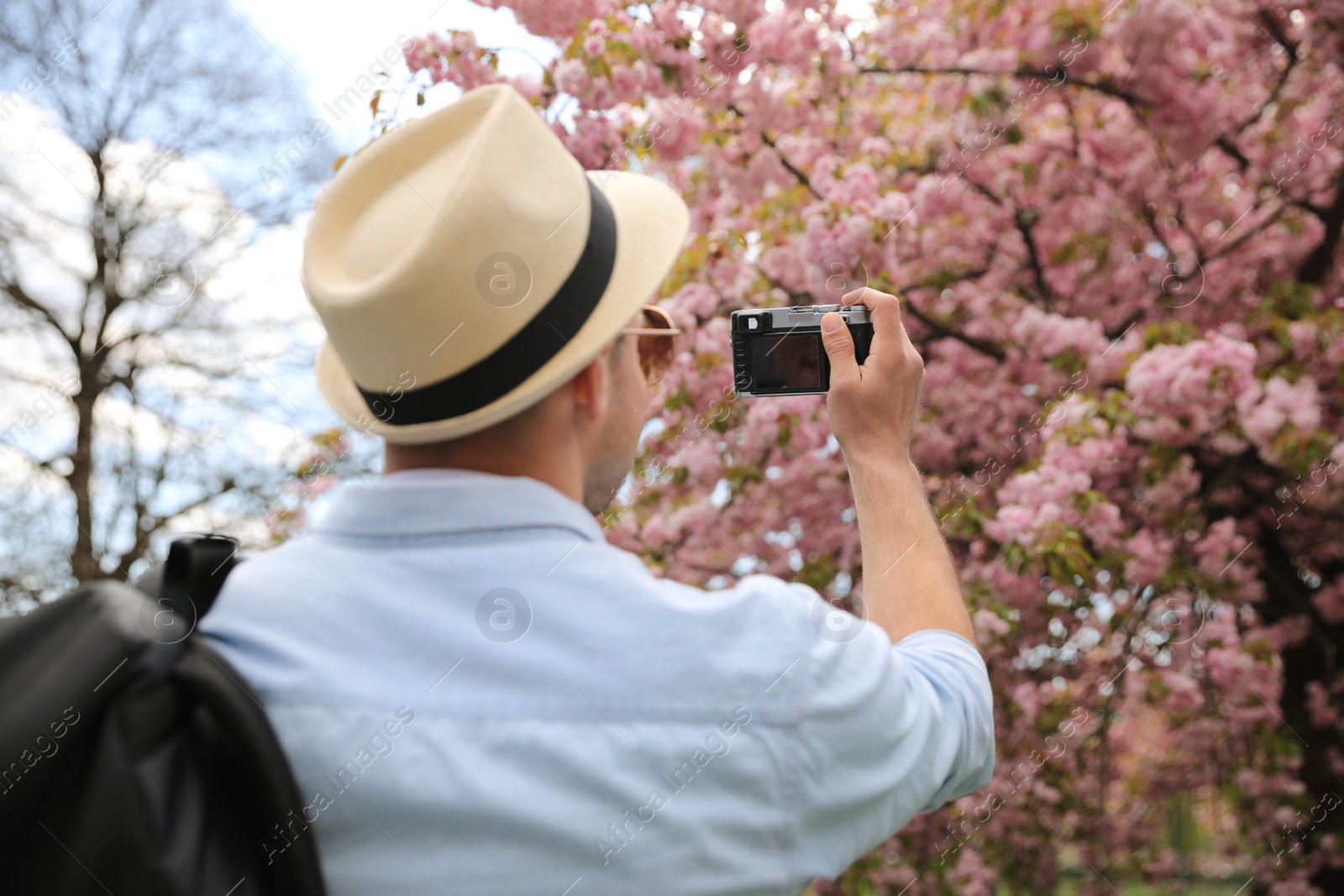 Photo of Male tourist taking photo of blossoming tree in park on spring day