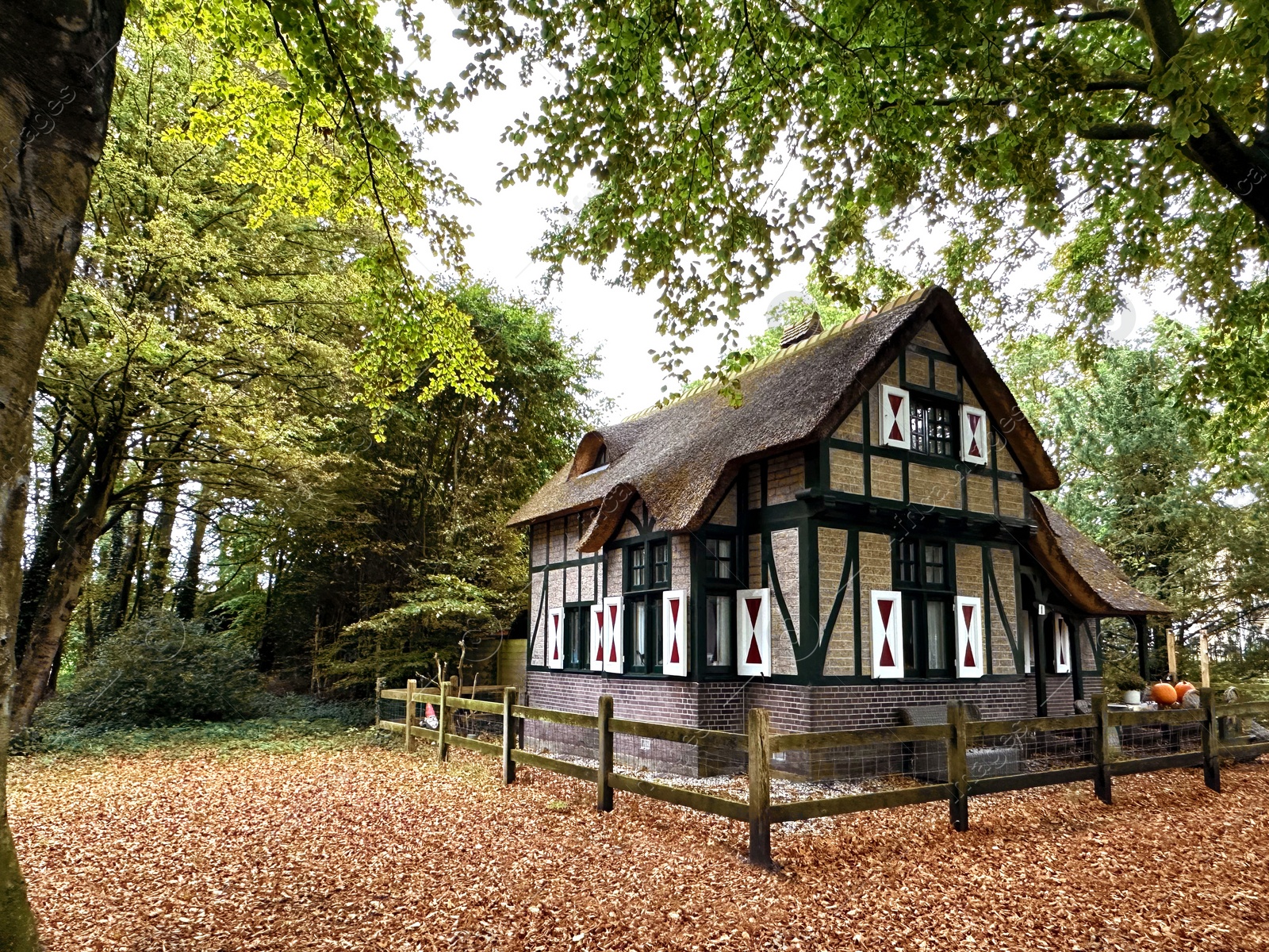 Photo of Beautiful grey house among trees in autumn park