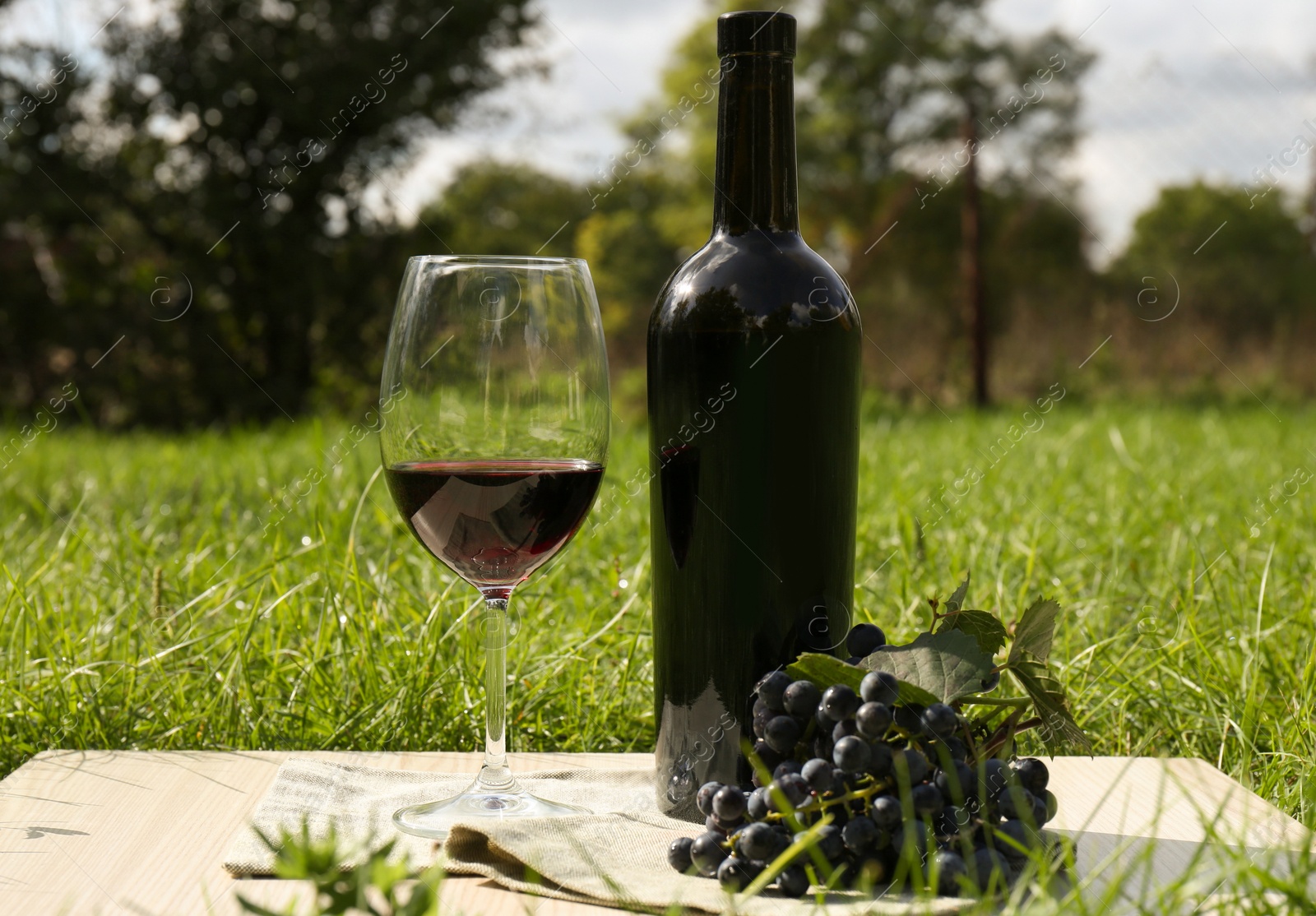 Photo of Red wine and delicious grapes served on green grass in park