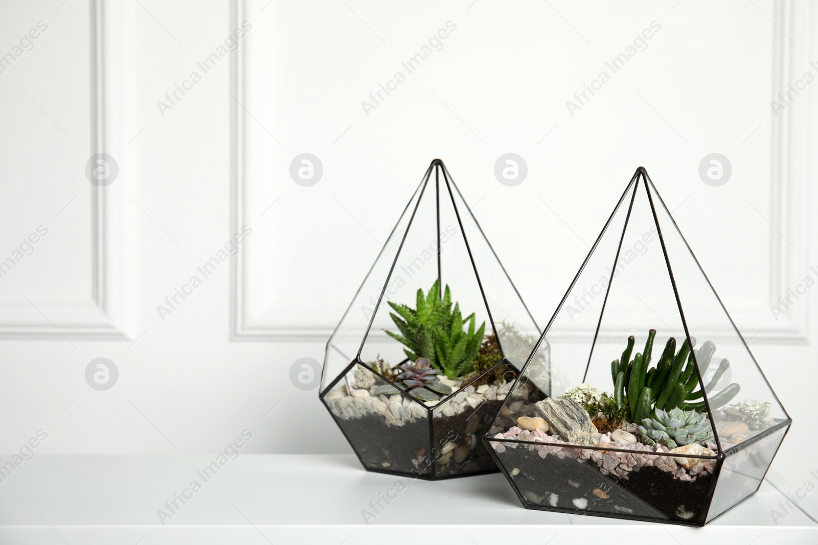 Photo of Glass florarium vases with succulents on white table indoors, space for text