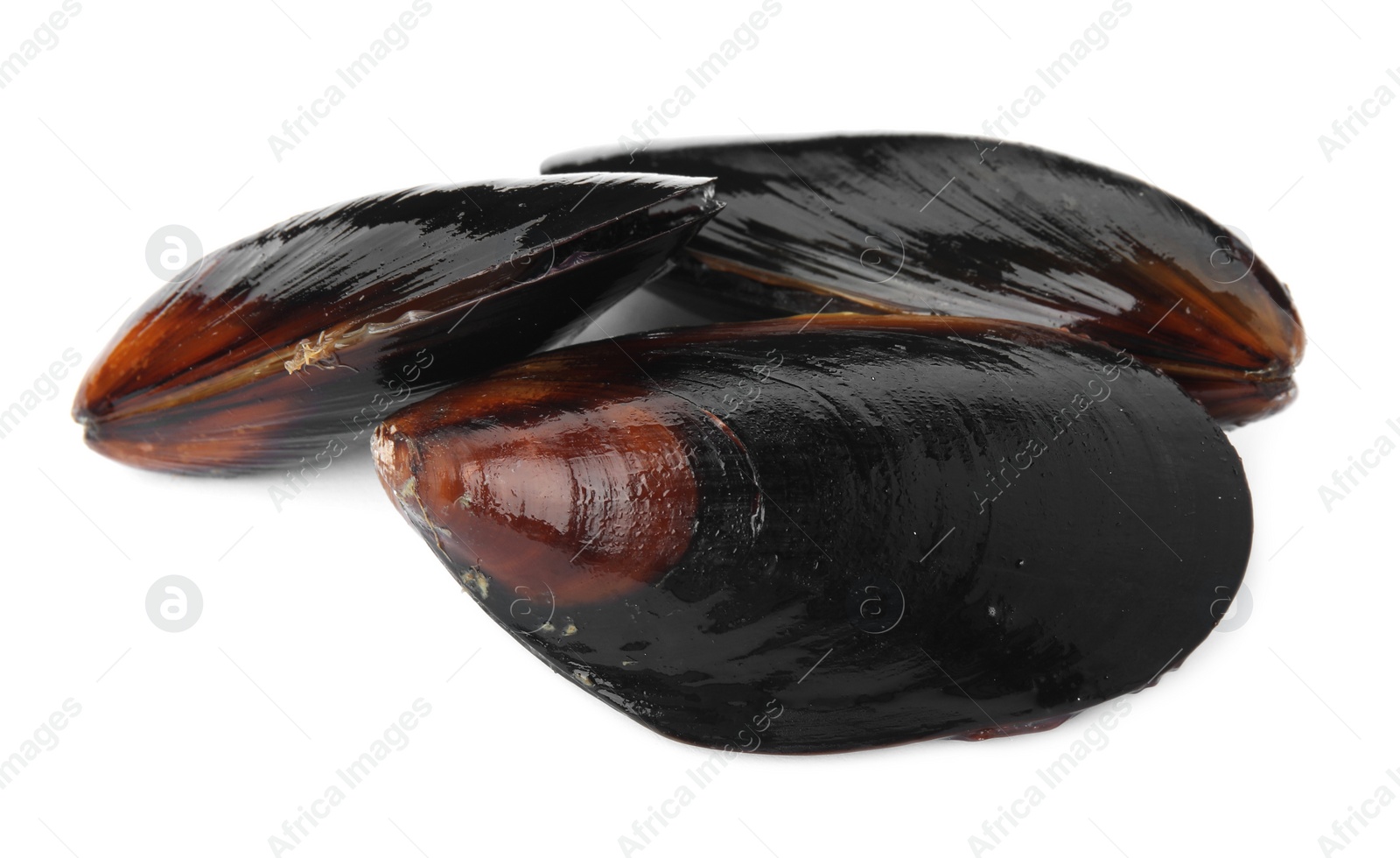 Photo of Raw mussels in shells on white background