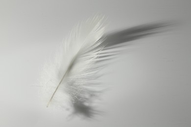 Photo of Fluffy white feather on light grey background. Space for text