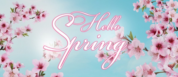 Hello Spring. Tree branches with beautiful flowers outdoors, banner design