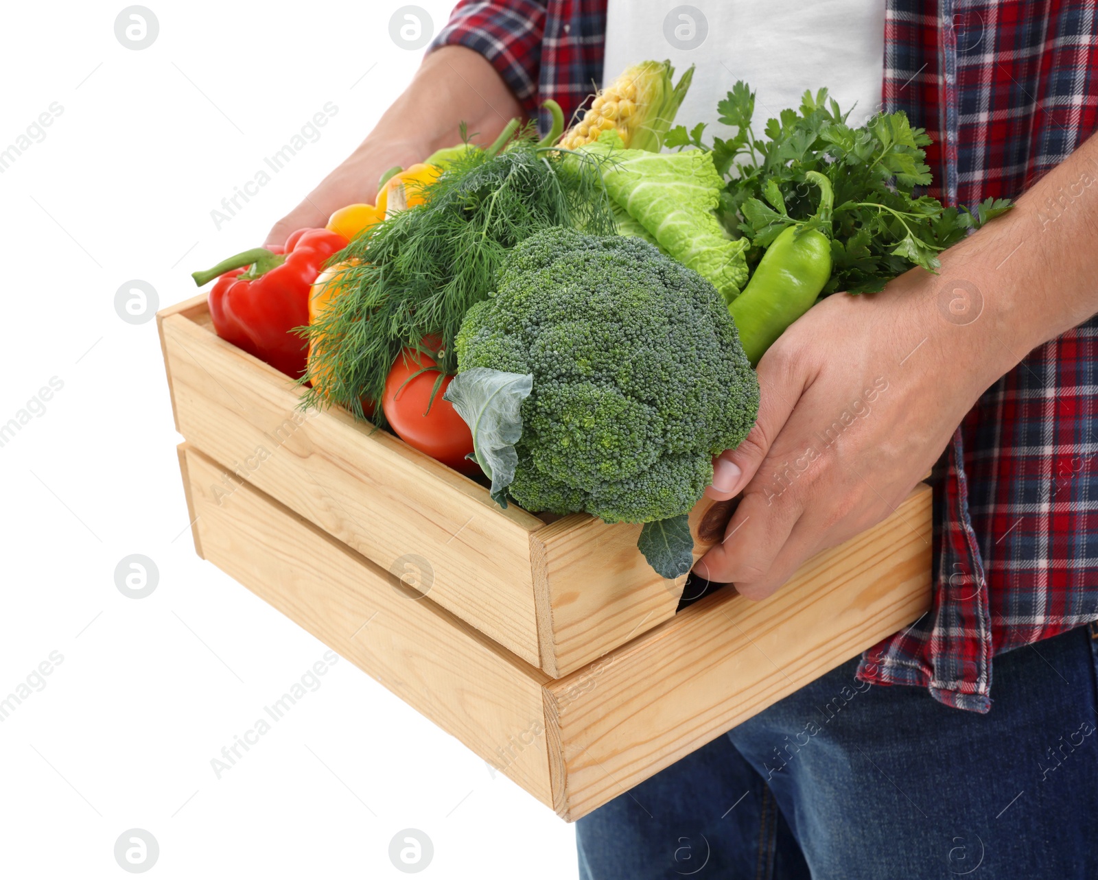 Photo of Harvesting season. Farmer holding wooden crate with vegetables on white background, closeup