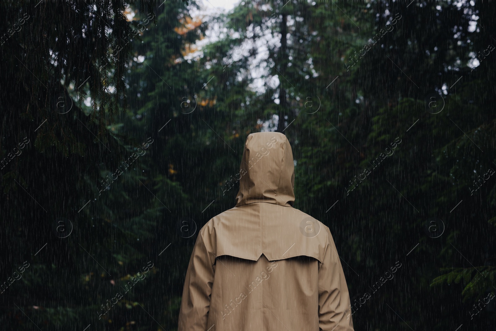 Photo of Woman with raincoat in forest under rain, back view