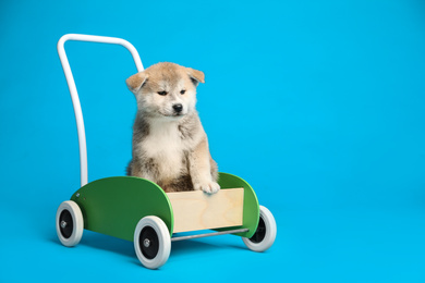Photo of Cute Akita inu puppy in toy cart on light blue background. Lovely dog