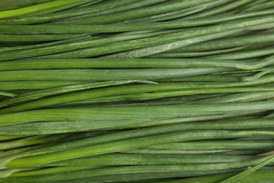 Fresh green onion as background