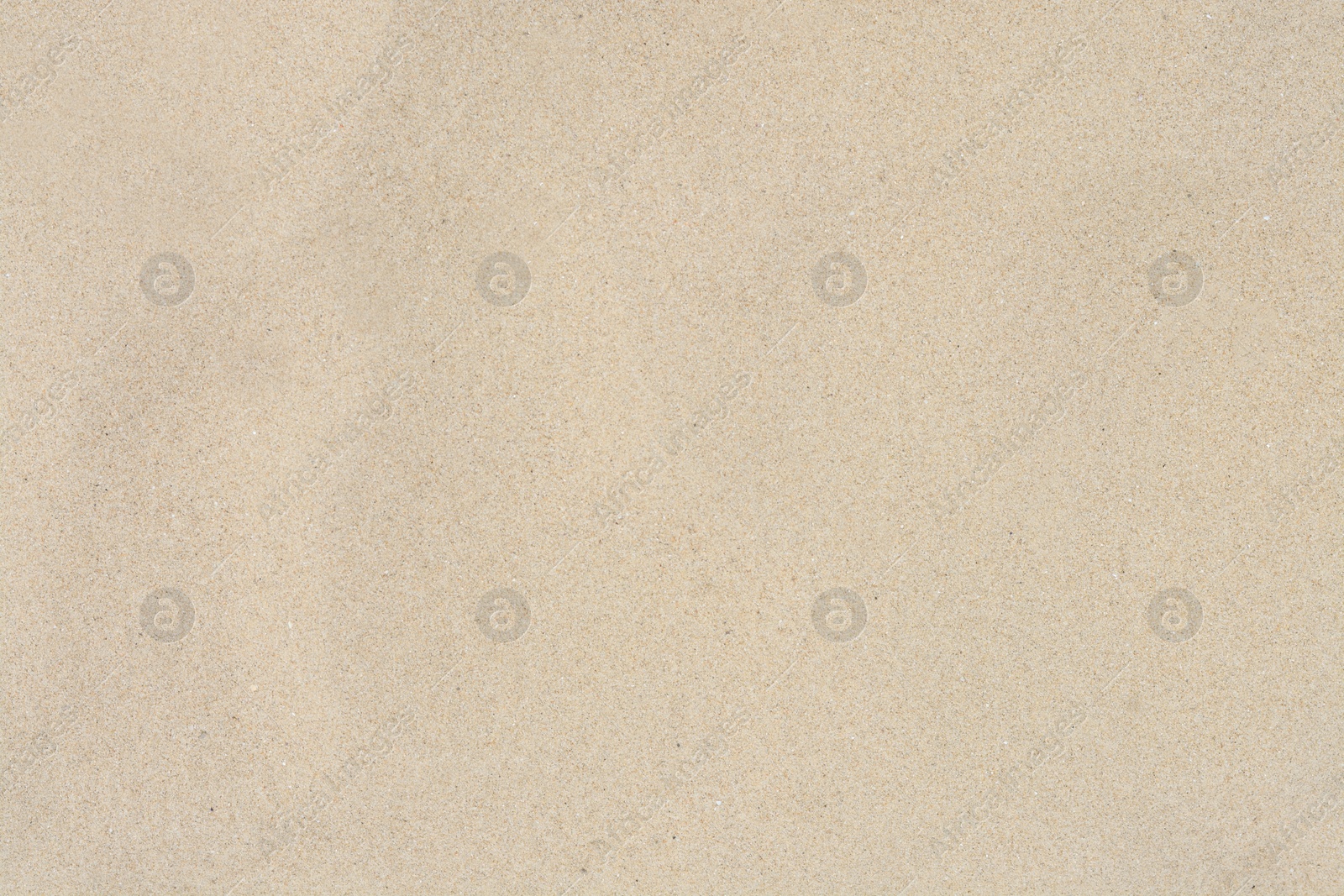 Photo of Texture of sandy beach as background, top view